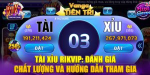 Hướng dẫn chơi game tài xỉu rikvip